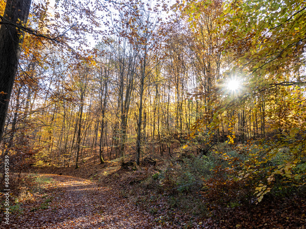 Herbst Herbst