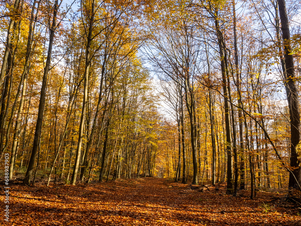 Obraz premium Herbst