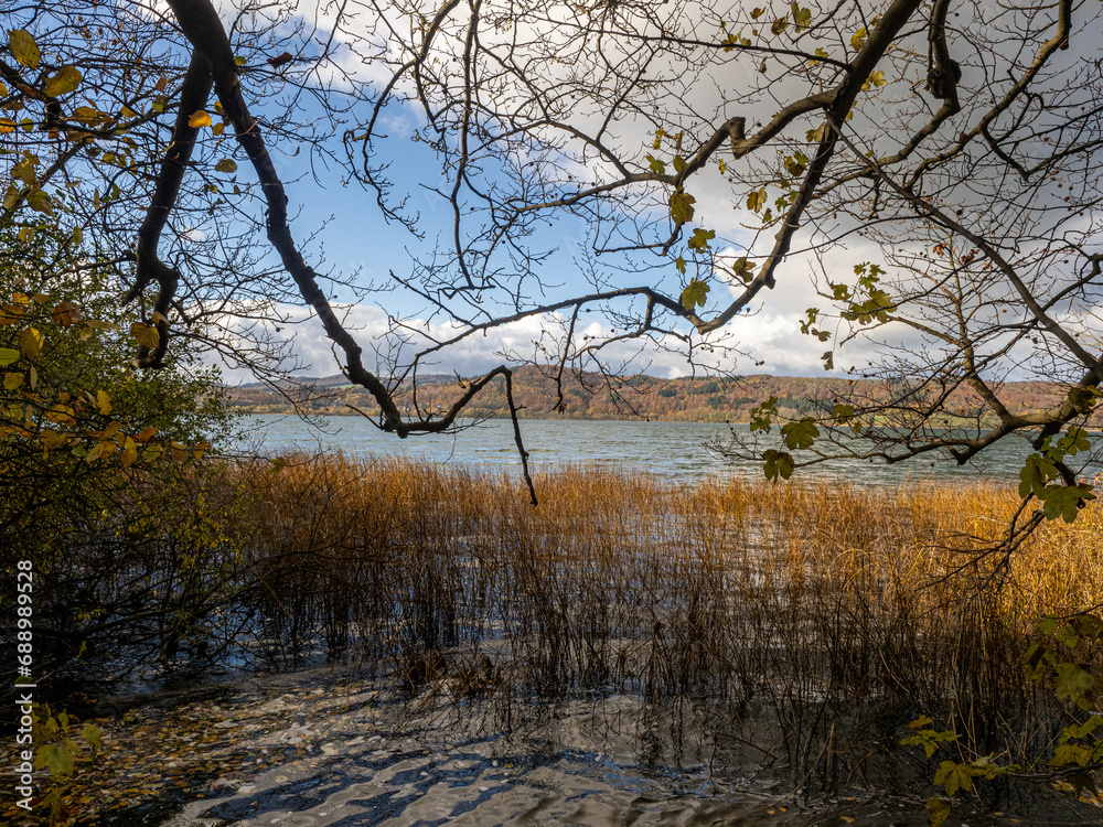 Fototapeta premium Herbst