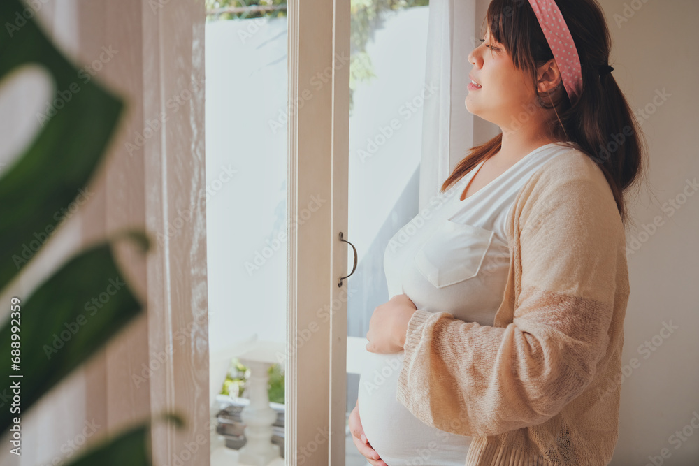 Asian young pregnant woman touching her belly at home. Asian young pregnant woman touching her belly at home.