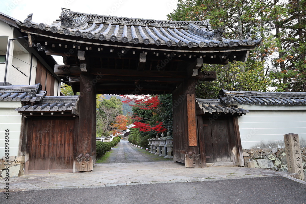 A Japanese temple : the scene to an entrance gate to the precincts of Zuishin-in Temple in Kyoto City 日本のお寺:京都市の随心院境内の入り口門の風景 A Japanese temple : the scene to an entrance gate to the precincts of Zuishin-in Temple in Kyoto City 日本のお寺:京都市の随心院境内の入り口門の風景