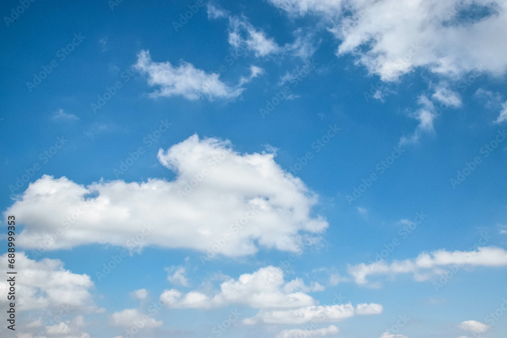 Naklejka premium sky sea beach flower natal grass Fishing Boat