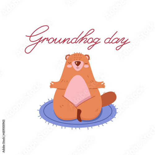 Fototapeta Naklejka Na Ścianę i Meble -  Groundhog Day. Cute marmot meditates, does yoga, welcomes spring
