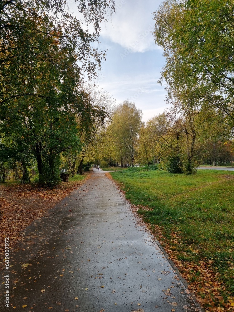 path in the autumn park
