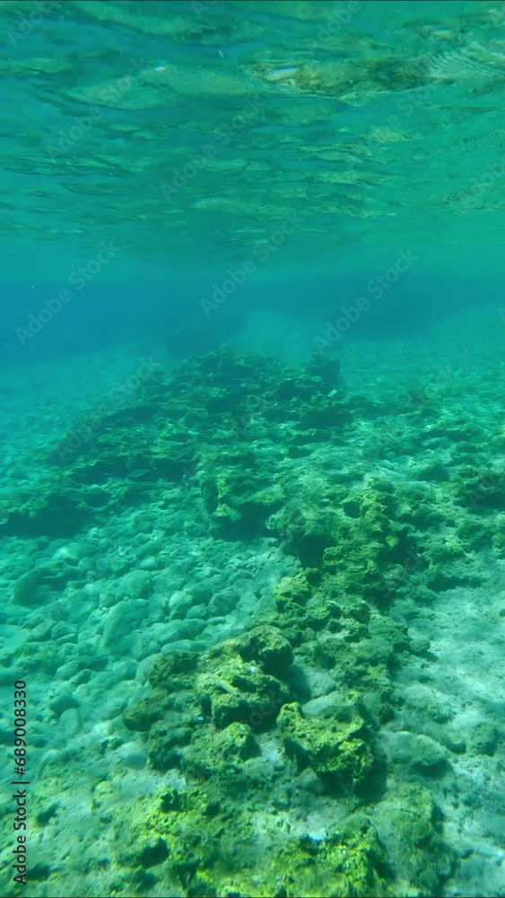 Sandy stones seabed in shallow water on a sunny day, Vertical video, Slow motion. Natural underwater background, Rhodes island, Mediterranean sea, Greece. Sandy stones seabed in shallow water on a sunny day, Vertical video, Slow motion. Natural underwater background, Rhodes island, Mediterranean sea, Greece.