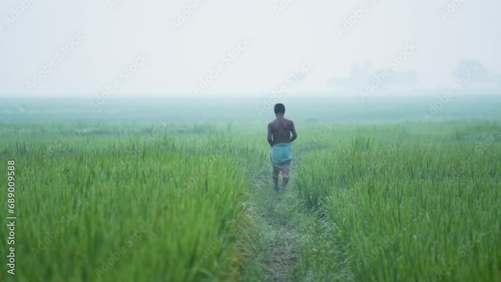 Foggy winter morning video of rural Bangladesh with ambient sound. Serene and picturesque footage for use in videos about nature, travel, and rural life. Biking, cycling, hiking, travel, vacation Foggy winter morning video of rural Bangladesh with ambient sound. Serene and picturesque footage for use in videos about nature, travel, and rural life. Biking, cycling, hiking, travel, vacation
