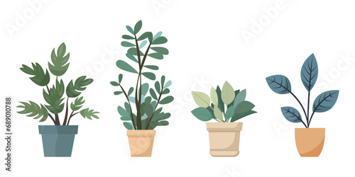 Vector collection of indoor, house plants in pots. Set of elements for design house, room or office. Isolated elements on white background. photo