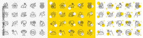 Outline Fishing, Fish school and Pet tags line icons pack for web with Dog leash, Stop fishing, Veterinary clinic line icon. Feather, Dog feeding, Pet friendly pictogram icon. Pets care. Vector