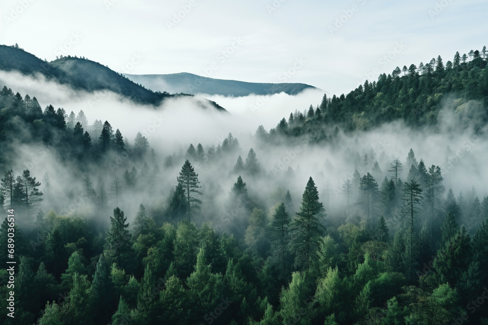 Top view of a misty coniferous forest. Generated by artificial intelligence