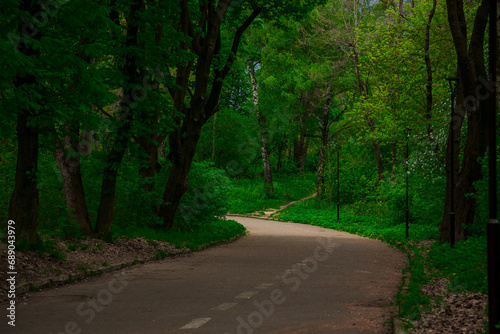 asphalt road in the woods summer green foliage outdoor natural environment space without people landscape