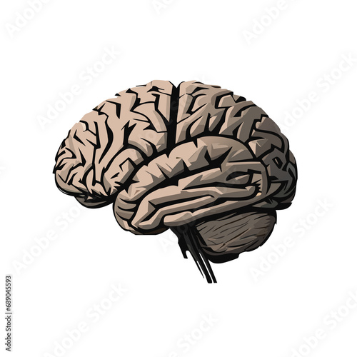 human brain isolated on black