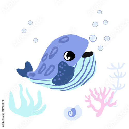 Cute Minke whale with bubbles, seashells and seaweed underwater. Vector illustration of marine life character