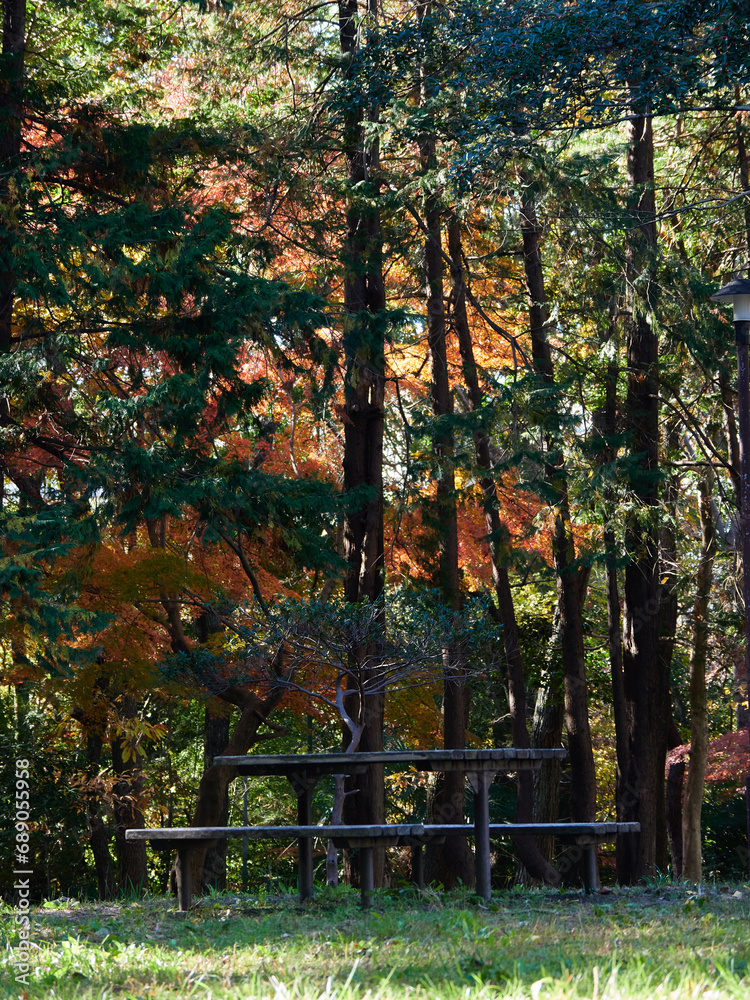 秋の公園の赤色の紅葉と休憩用のテーブルの風景