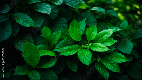 green leaves background