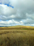 Cloudy field panorama