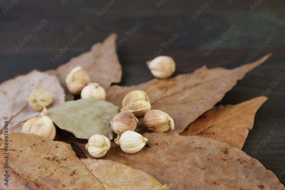 Fototapeta premium Closeup of White Cardamoms with Heap of Dried Bay Leaves on Black Wooden Background