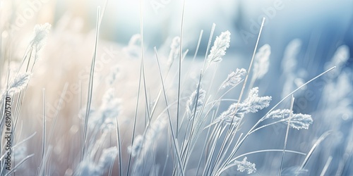 Subtle Elegance - Soft Focus on Chilled Nature - Crafting a Tranquil Outdoor Scene