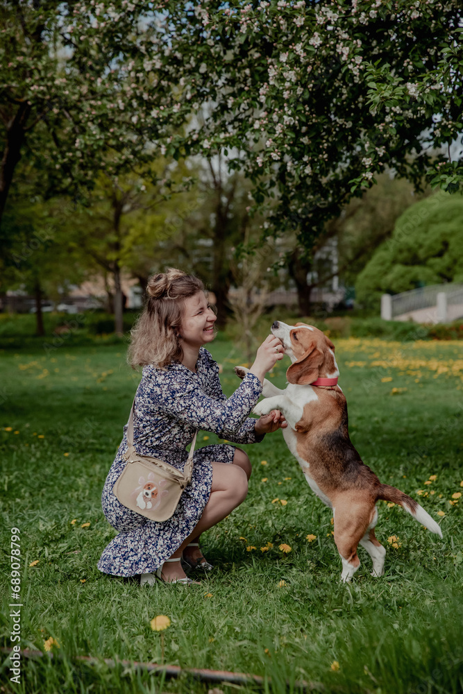 Young girl with beagle dog walking in summer