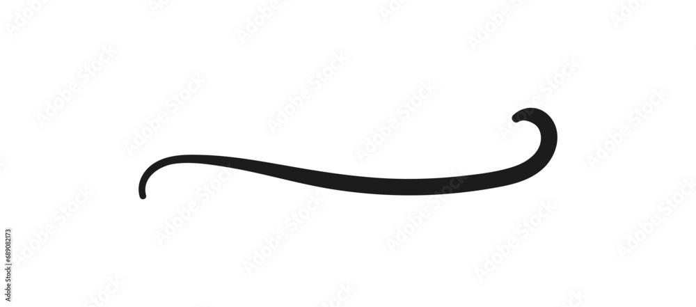 Swoosh and swoops underline typography tail shape. Brush drawn thick curved smear. Hand drawn curly swish, swash, squiggle, twiddle. Vector calligraphy doodle swirl. Vector Underlined icon.