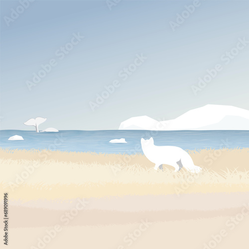 Arctic Fox in tundra seeing beluga whale in the ocean with coastal and iceberg behind vector illustration. Snow landscape concept have blank space.