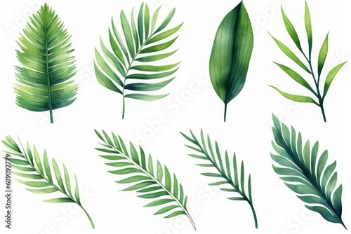 Set watercolor painting palm leaf,green leaves isolated. Watercolor hand painted illustration tropical exotic leaf for wallpaper vintage Hawaii style pattern. Generative AI photo