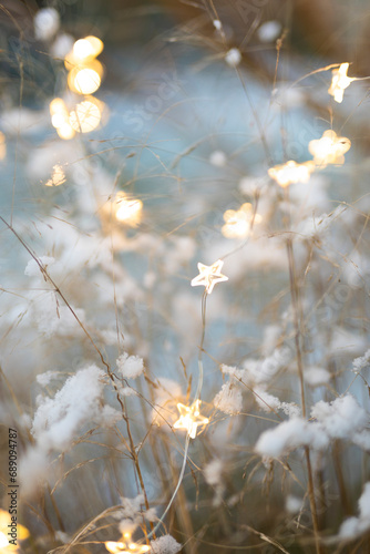 Lights in the dark