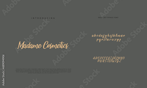 Elegant alphabet letters font and number. Classic Lettering Minimal Fashion Designs. Typography  Calligraphy modern serif fonts regular decorative vintage concept. vector illustration