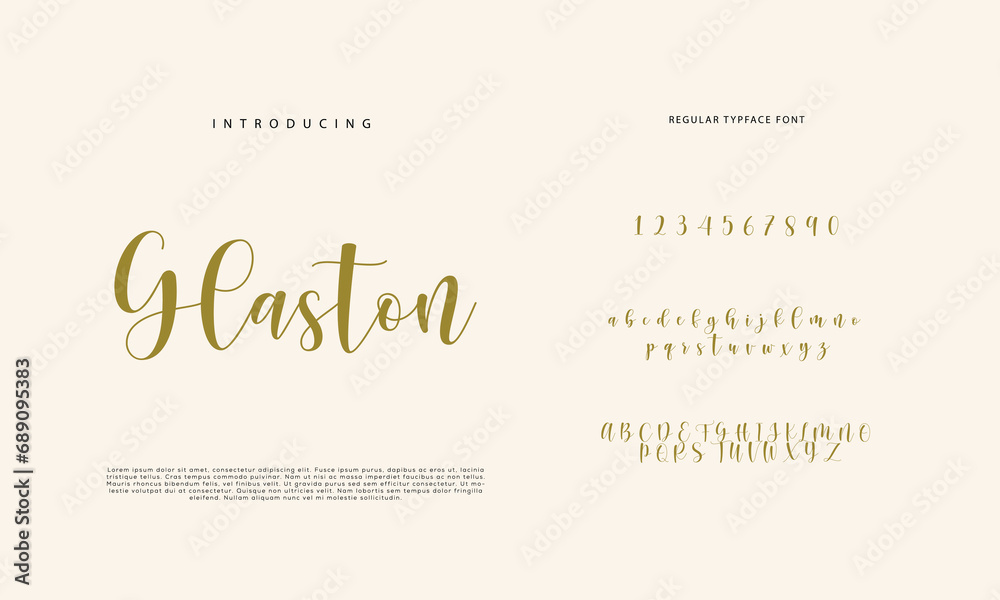 Elegant alphabet letters font and number. Classic Lettering Minimal Fashion Designs. Typography  Calligraphy modern serif fonts regular decorative vintage concept. vector illustration