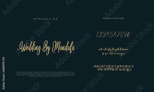 Elegant alphabet letters font and number. Classic Lettering Minimal Fashion Designs. Typography  Calligraphy modern serif fonts regular decorative vintage concept. vector illustration
