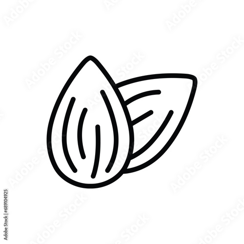 almond icon vector nut icon