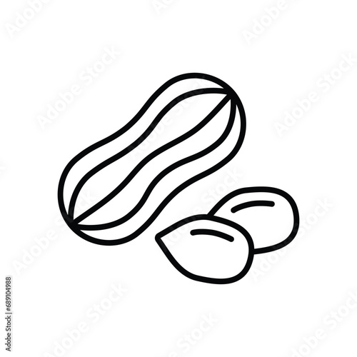 peanut icon vector nut icon