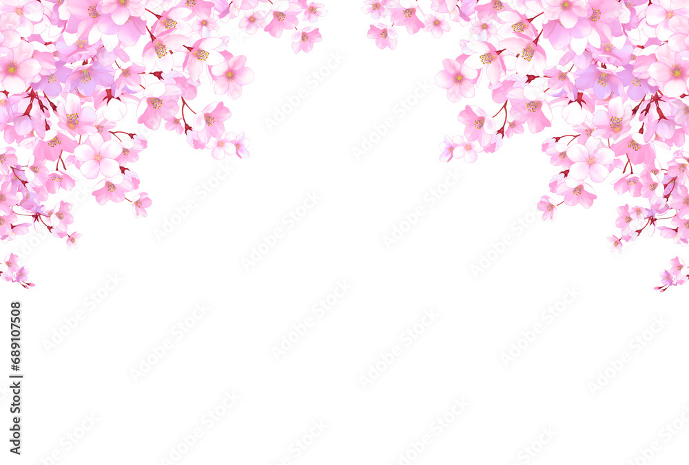 桜のフレーム　飾り枠　素材　お花見　入学　卒業　入園　卒園　ひな祭り　ひなまつり　白背景　白バック