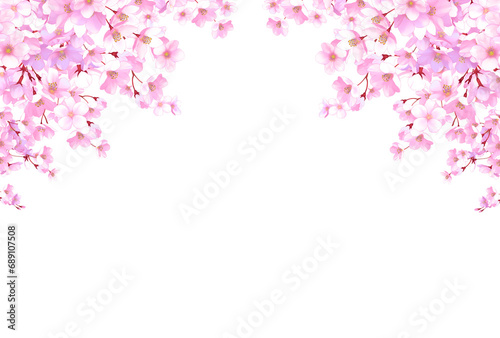 桜のフレーム　飾り枠　素材　お花見　入学　卒業　入園　卒園　ひな祭り　ひなまつり　白背景　白バック © あんもち