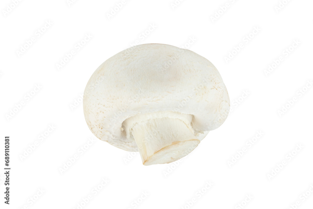 champignon mushroom isolated from background