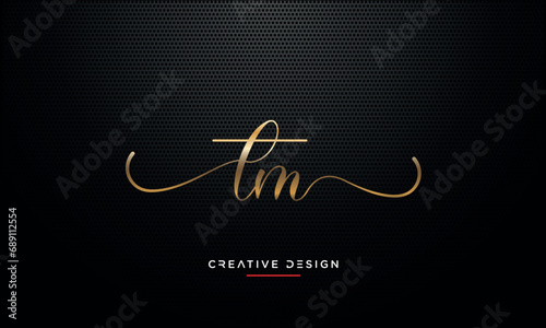 TM or MT Alphabet letters logo monogram