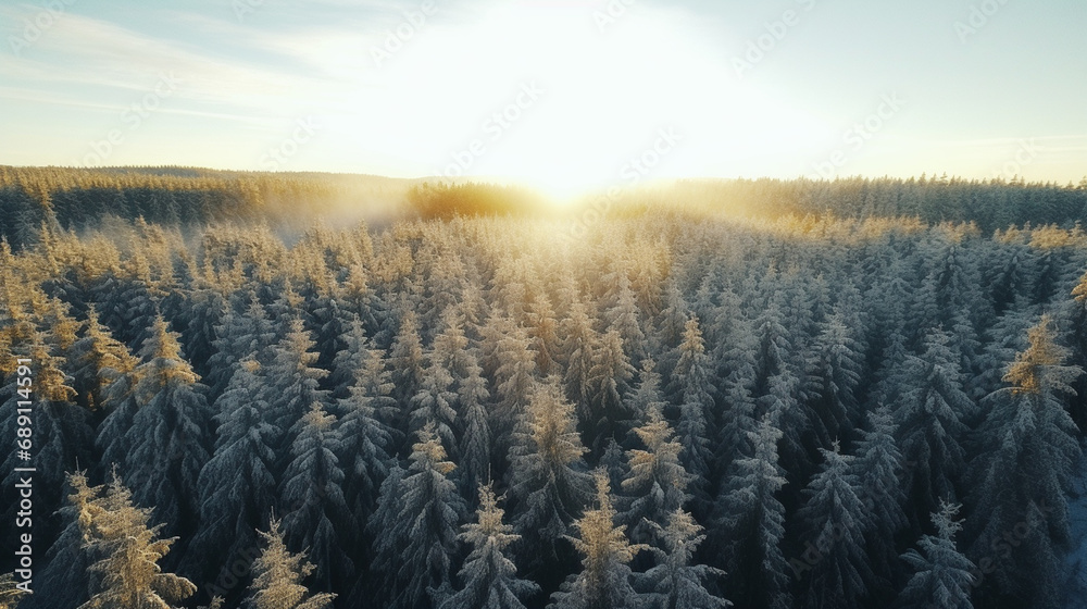 sunrise over the winter forest covered in snow