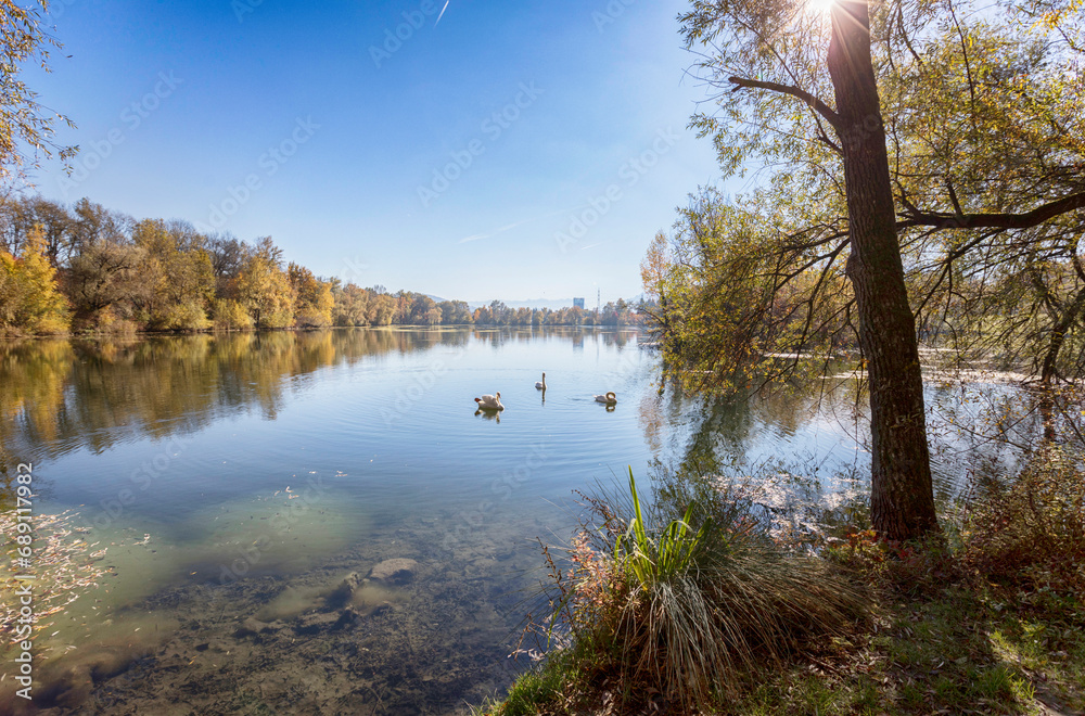 green area near Salzburg, autumn park and pond Salzachsee