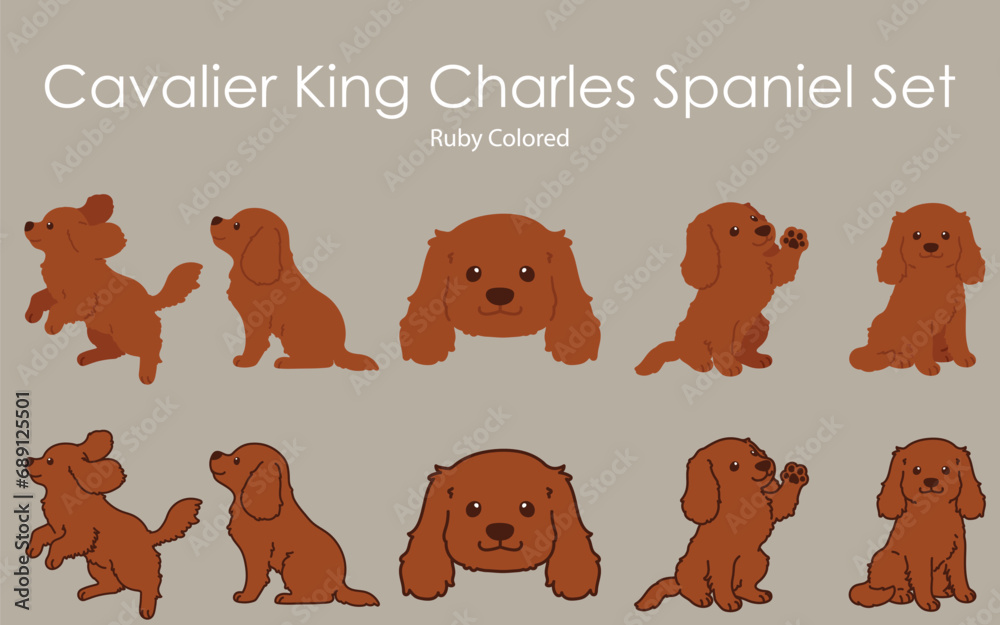 Fototapeta premium Simple and cute ruby colored Cavalier King Charles Spaniel illustrations set