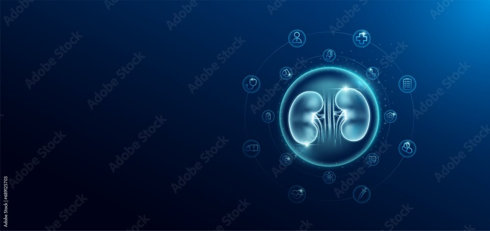 Medical health care. Human kidney in transparent bubbles surround with medical icon. Technology innovation healthcare hologram organ on dark blue background. Banner empty space for text. Vector. - obrazy, fototapety, plakaty 