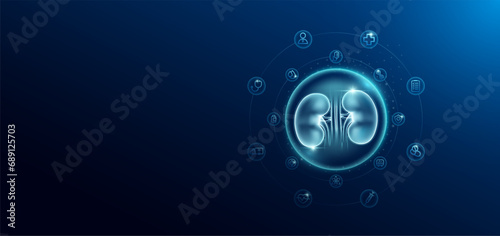 Medical health care. Human kidney in transparent bubbles surround with medical icon. Technology innovation healthcare hologram organ on dark blue background. Banner empty space for text. Vector. photo
