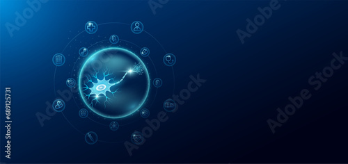 Medical health care. Human nerve cell in transparent bubbles surround with medical icon. Technology innovation healthcare hologram organ on dark blue background. Banner empty space for text. Vector.