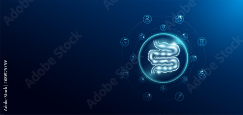 Medical health care. Small intestine in transparent bubbles surround with medical icon. Technology innovation healthcare hologram organ on dark blue background. Banner empty space for text. Vector. photo