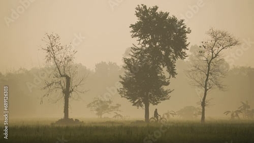 Wallpaper Mural Foggy winter morning video of rural Bangladesh with ambient sound. Serene and picturesque footage for use in videos about nature, travel, and rural life. Biking, cycling, hiking, travel, vacation Torontodigital.ca