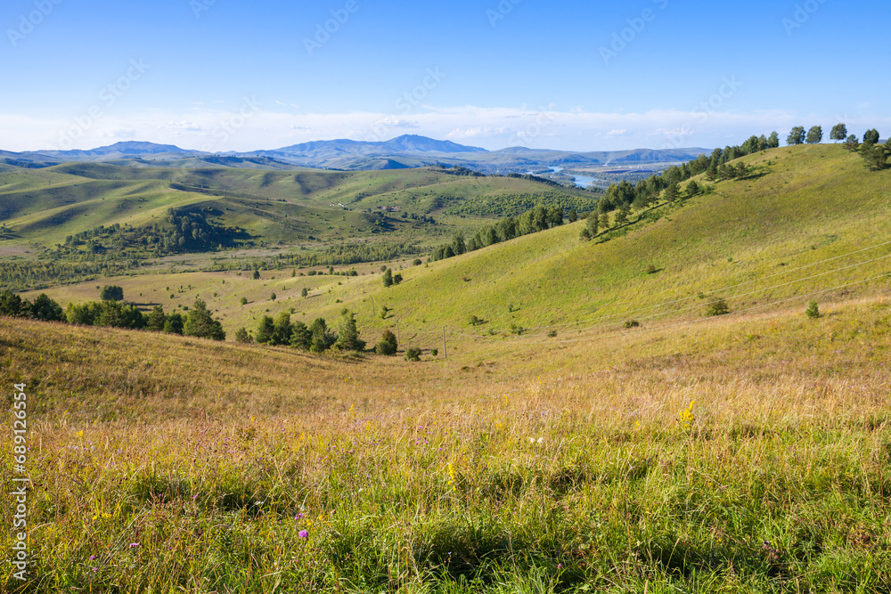 Hills with green grass and trees, summer landscape photo of Altai