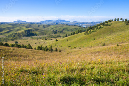 Hills with green grass and trees, summer landscape photo of Altai © evannovostro