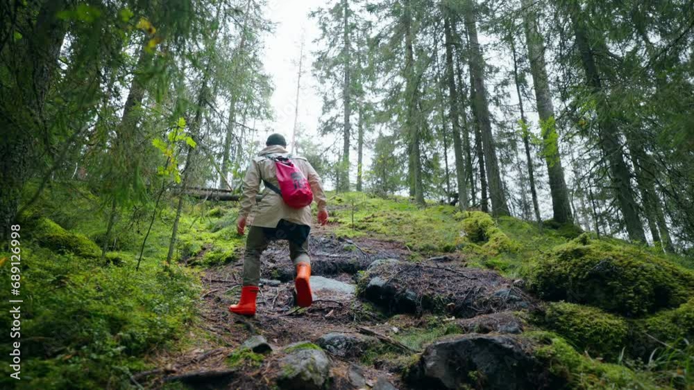 Back View Of Male Backpacker Climbing To Mountains In Woodland, Extreme Travelers Back View Of Male Backpacker Climbing To Mountains In Woodland, Extreme Travelers