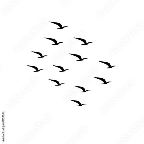 Flying Seagull Silhouette © Slonong