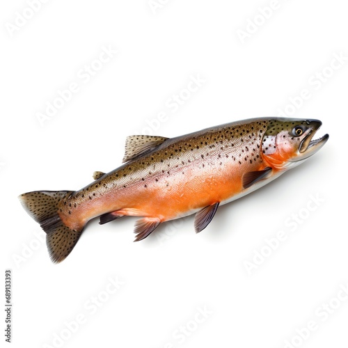 Professional food photography of Trout, isolated on white background, Trout isolated on white background