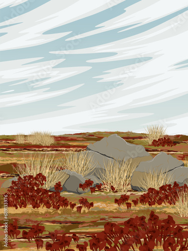 Arctic tundra in summer. Plants, mosses and lichens in the north. Realistic vector vertical landscape