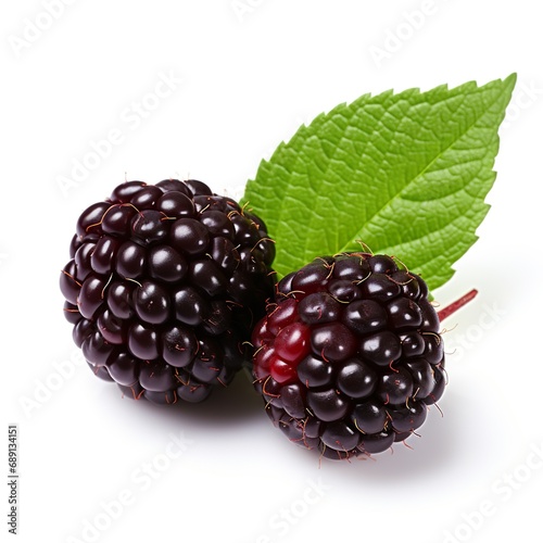 Professional food photography of Boysenberry, isolated on white background,  Boysenberry isolated on white background